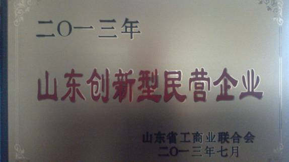 熱(rè)烈祝賀公司榮獲“山(shān)東創新型民(mín)營企業”榮譽稱号(圖1)